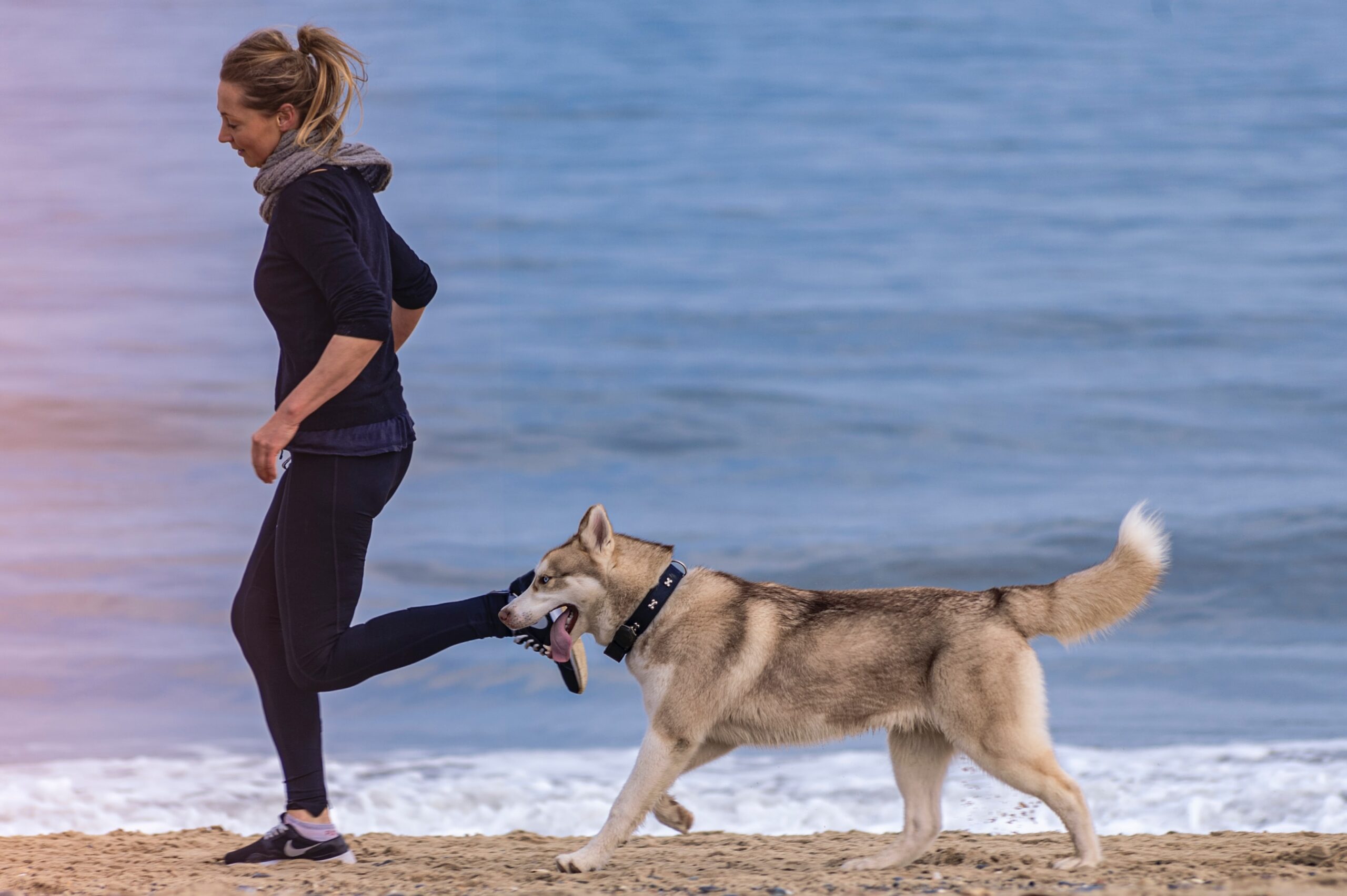 5 Ways to Get Fit With Your Dog