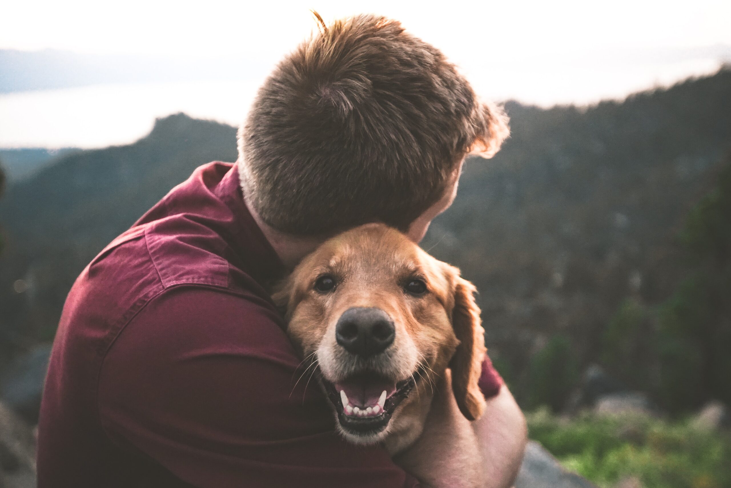 Socialization and Bonding: Why Walking Your Dog is Essential
