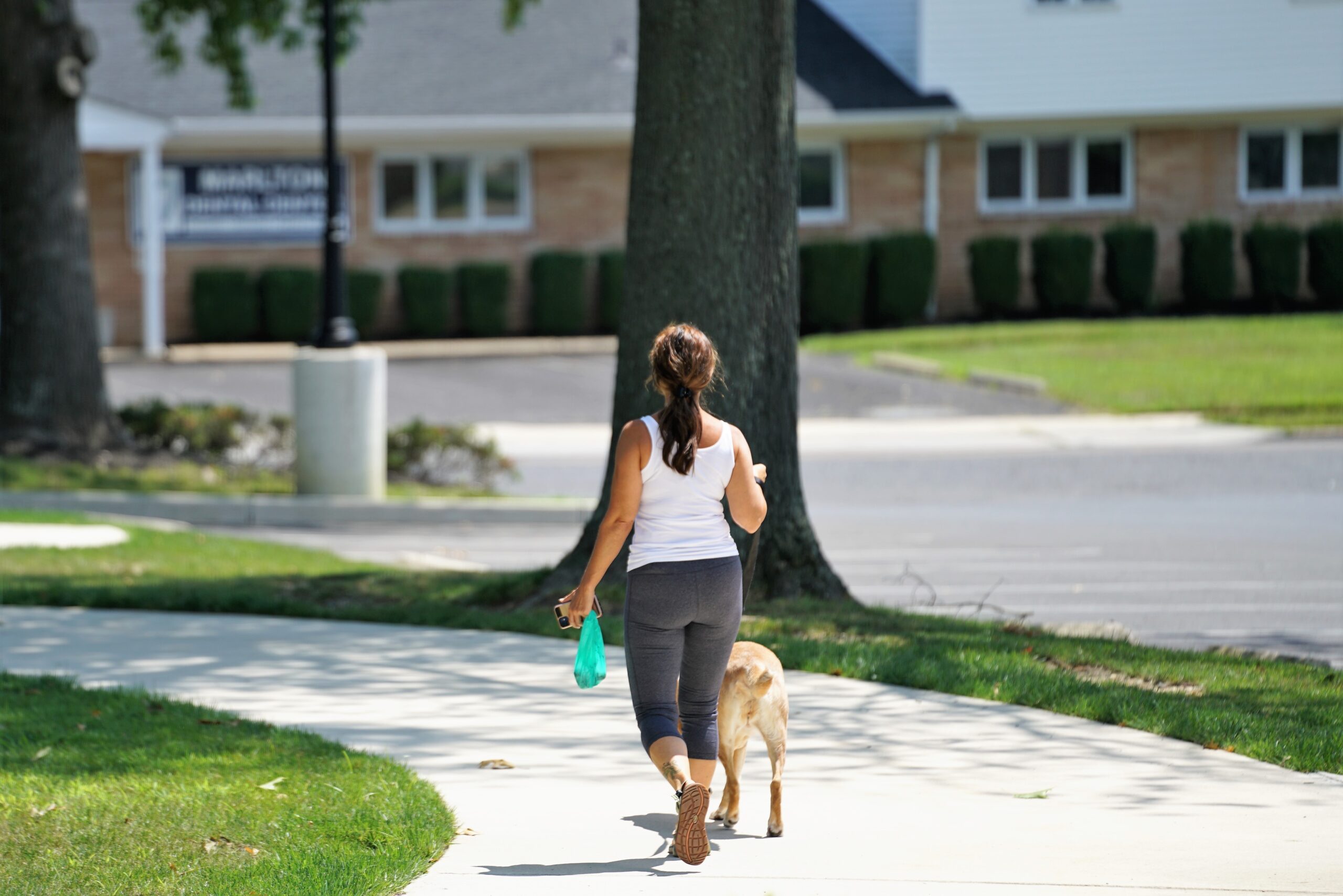 Easy Exercise With Your Dog: Why Walking Your Dog is Essential